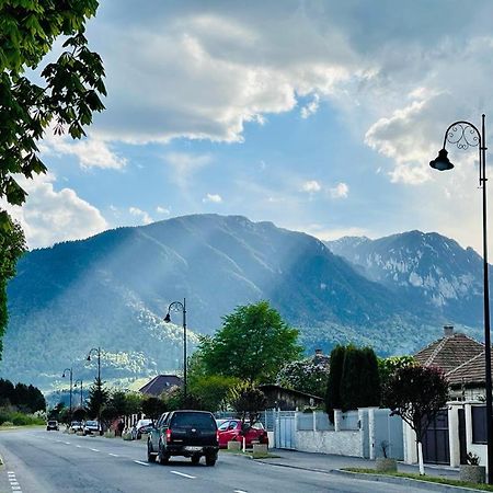 Colonia Sase Martie Casa Bunicilor 빌라 외부 사진