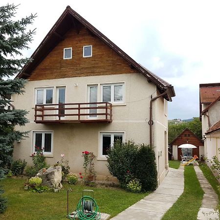 Colonia Sase Martie Casa Bunicilor 빌라 외부 사진