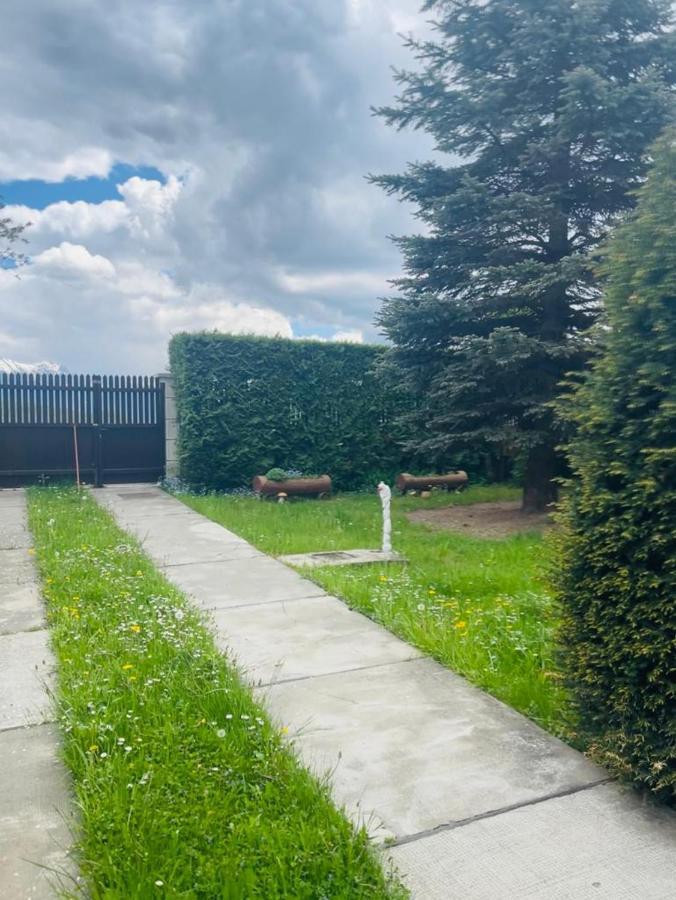 Colonia Sase Martie Casa Bunicilor 빌라 외부 사진