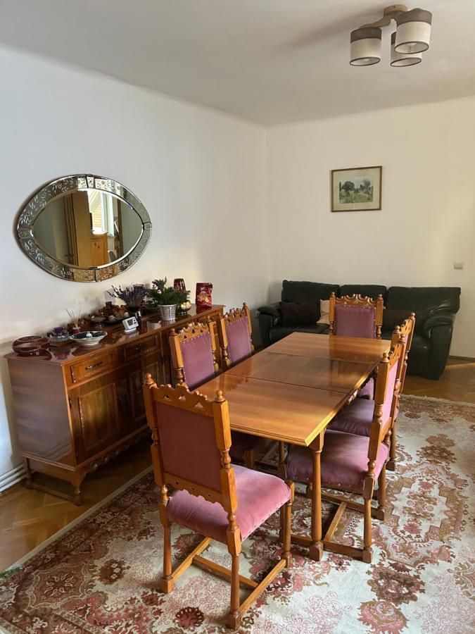 Colonia Sase Martie Casa Bunicilor 빌라 외부 사진
