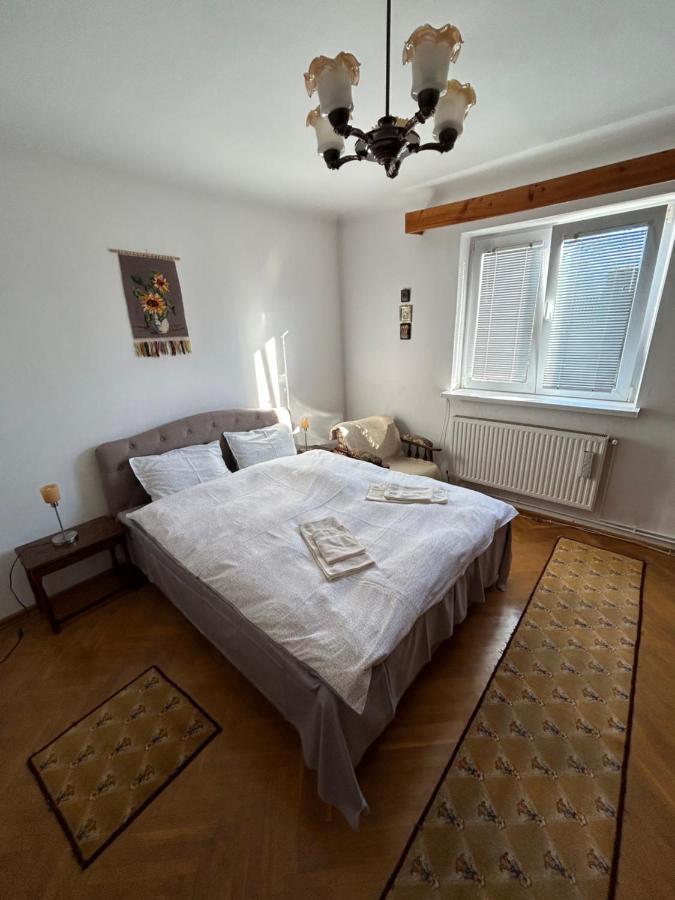 Colonia Sase Martie Casa Bunicilor 빌라 외부 사진