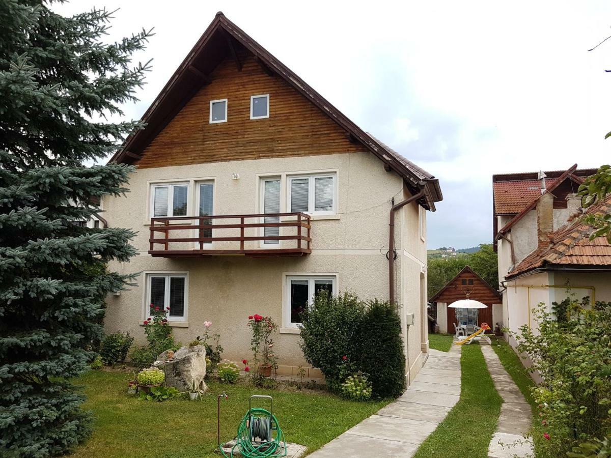 Colonia Sase Martie Casa Bunicilor 빌라 외부 사진