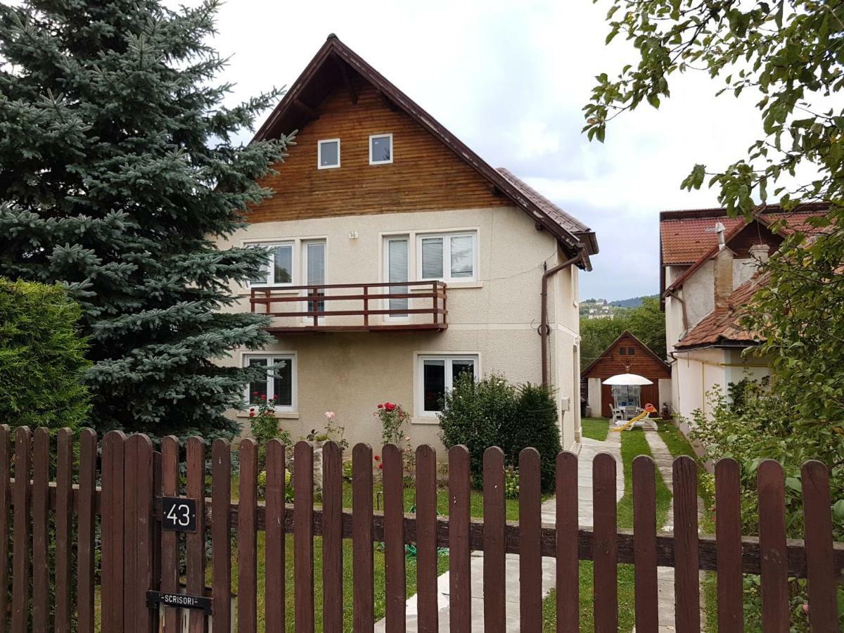 Colonia Sase Martie Casa Bunicilor 빌라 외부 사진