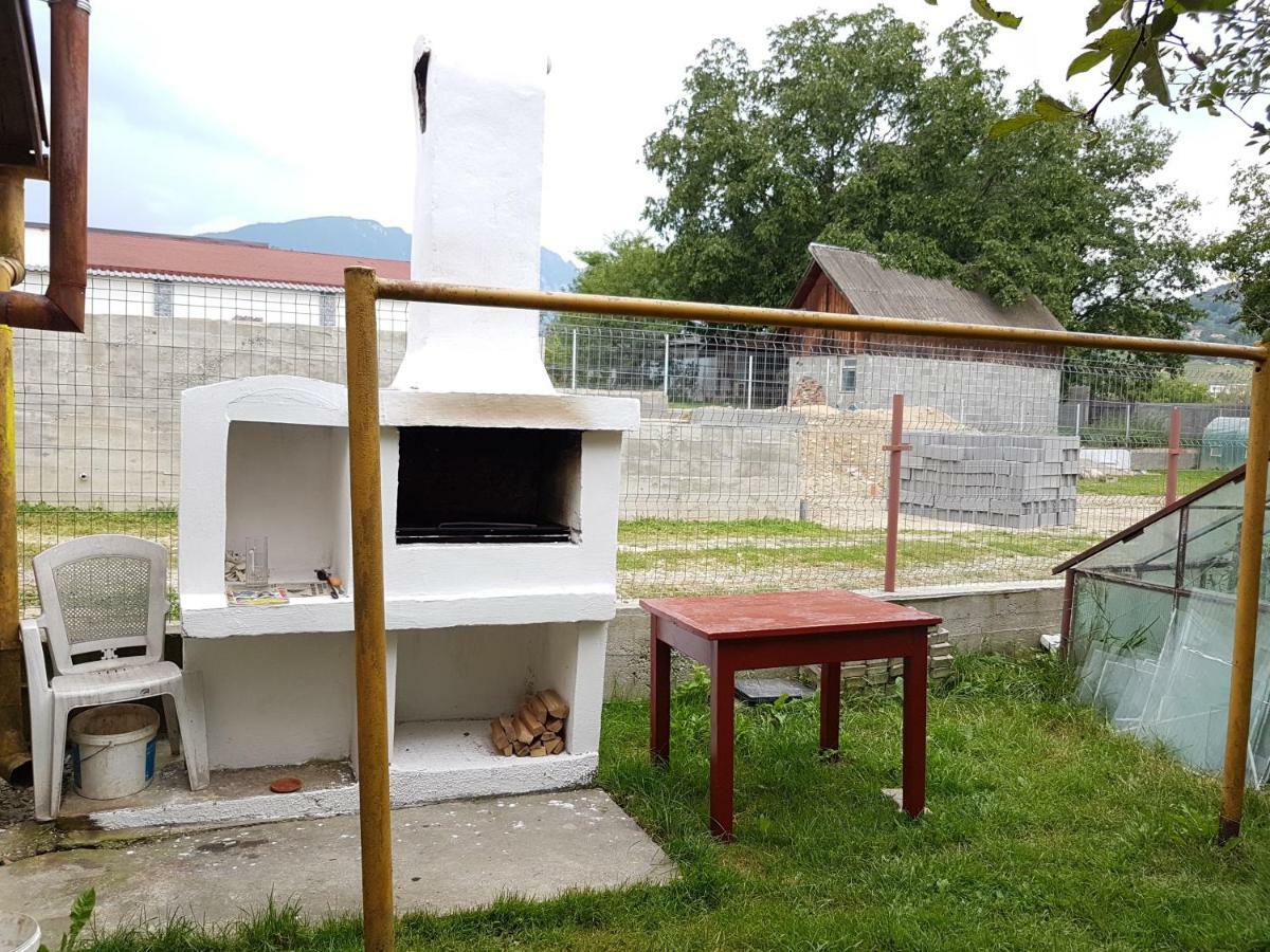 Colonia Sase Martie Casa Bunicilor 빌라 외부 사진